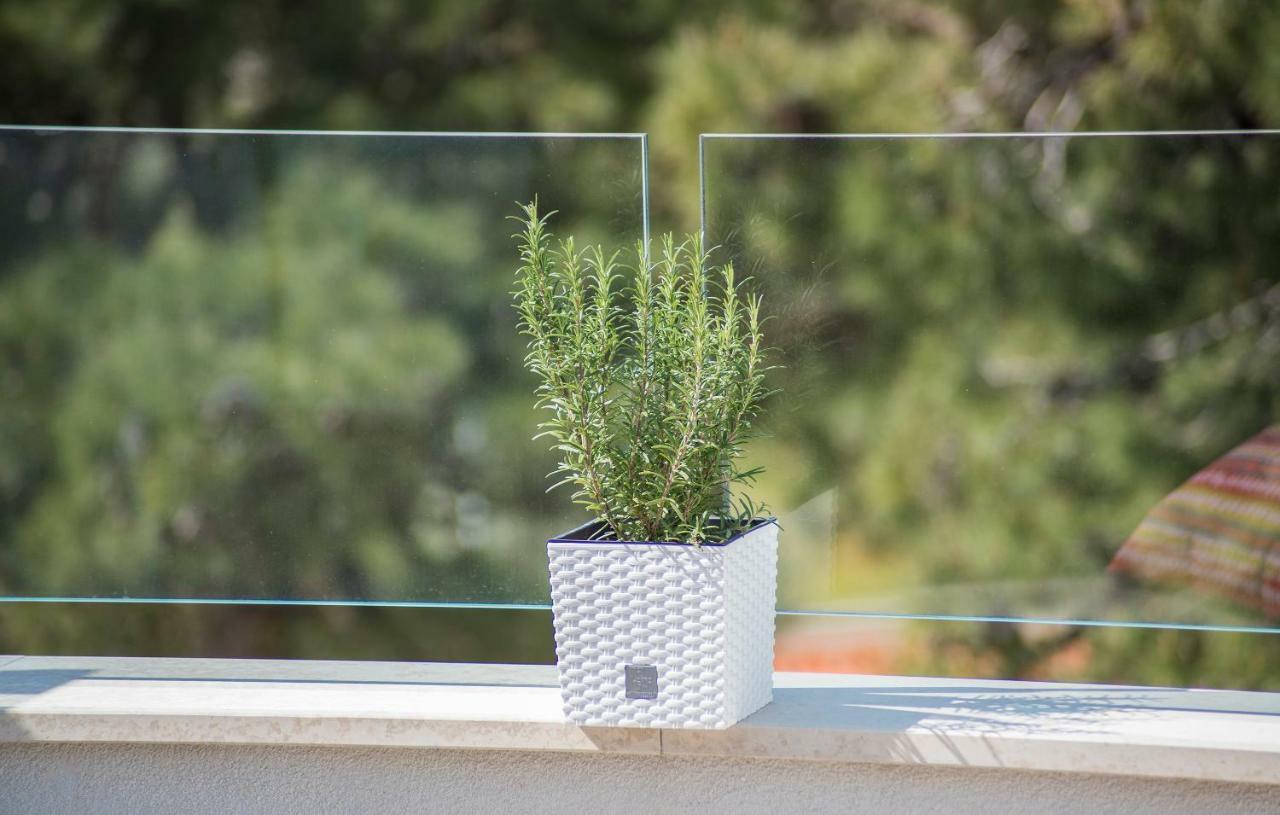 Luxury Apartments Novigrad Novigrad Istria Dış mekan fotoğraf